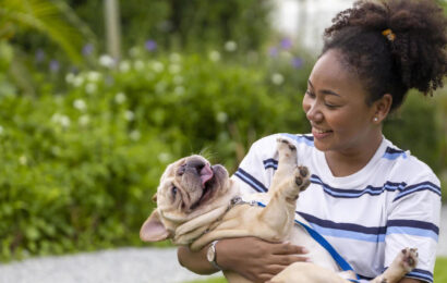 11869675-afrikansk-amerikan-kvinna-ar-spelar-med-henne-franska-bulldogg-valp-medan-gaende-i-de-hund-parkera-pa-gras-grasmatta-efter-har-morgon-ovning-under-de-sommar-gratis-fotona 11869675-afrikansk-amerikan-kvinna-ar-spelar-med-henne-franska-bulldogg-valp-medan-gaende-i-de-hund-parkera-pa-gras-grasmatta-efter-har-morgon-ovning-under-de-sommar-gratis-fotona