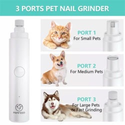 may_tia_mong_cho_meo_model_pe004 may_tia_mong_cho_meo_model_pe004