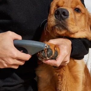 Pet Nail Clipper for Safe and Easy Grooming