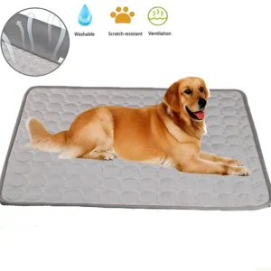 Summer Cool bed for cats and dogs